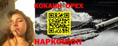 гашик Кулебаки