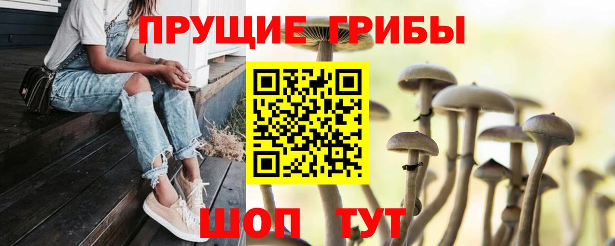цена   Псилоцибиновые грибы Psilocybe  Топки  Вход с VPN  Галлюциногенные грибы мицелий 